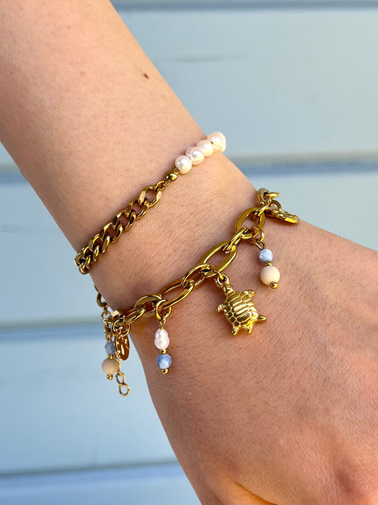 Charm Bracelet Schildkröte 🐢