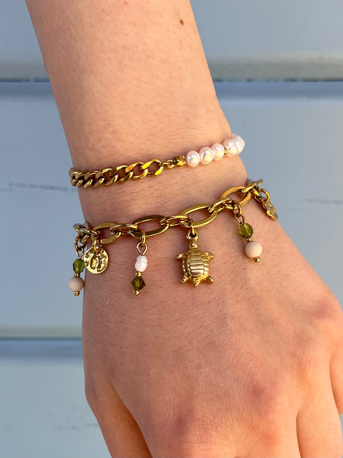 Charm Bracelet Schildkröte 🐢